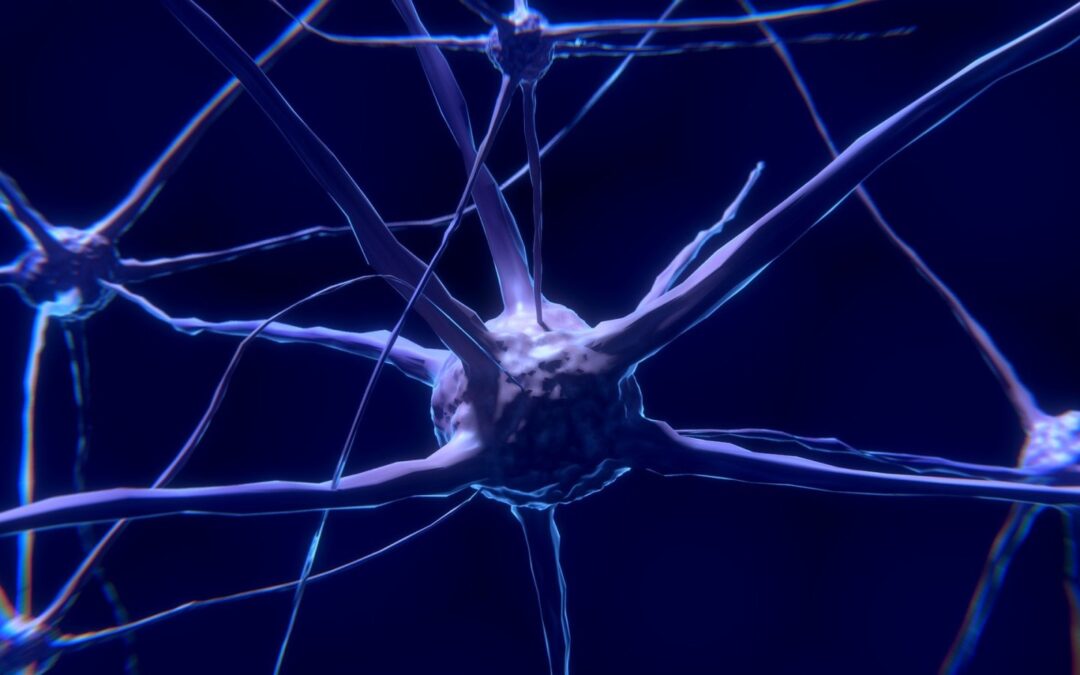 6 tips om je hersenen gezond te houden