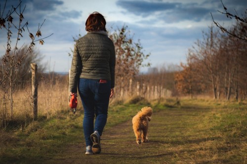 Tips als je gaat wandelen met een hersenschudding, met de hond lopen