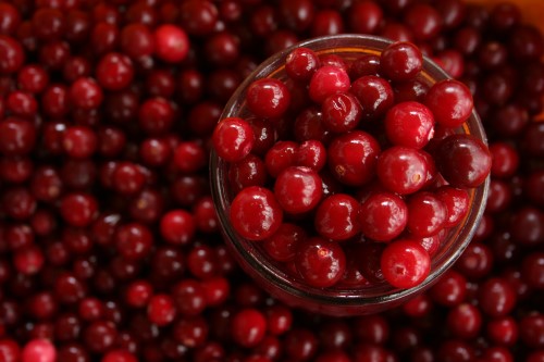 Cranberry’s staan bekend om hun heilzame werking bij het voorkomen van urineweginfecties